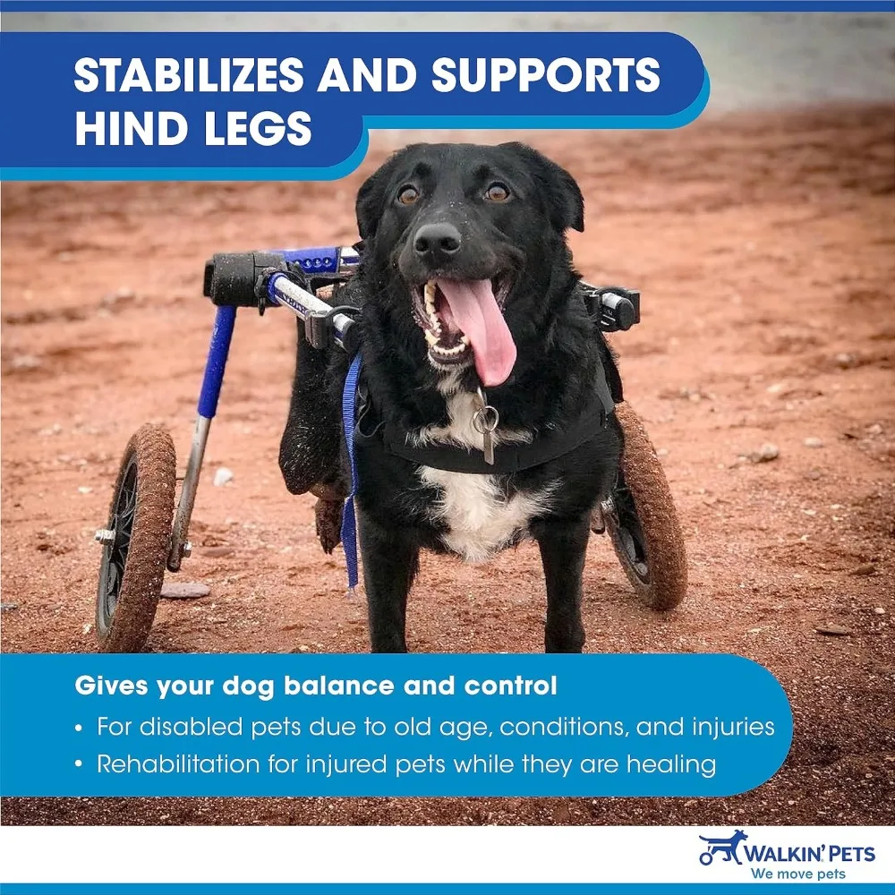 

Dog Wheelchair - for Med/Large Dogs 50-69 lbs - Veterinarian Approved - Dog Wheelchair for Back Legs