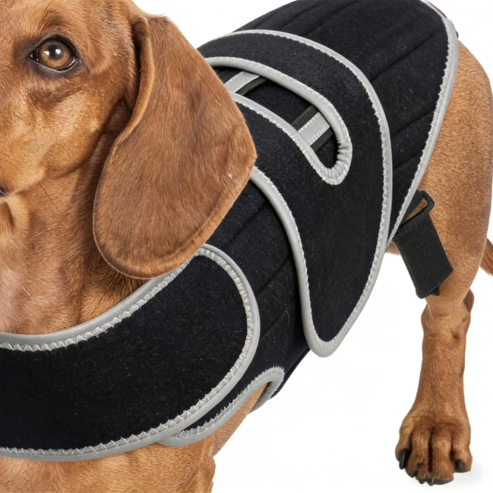 Dachshund Back Support Adjustable Spinal Stability Vest Recovery Support Harness For Stair Step Walking Jogging Home Outdoor