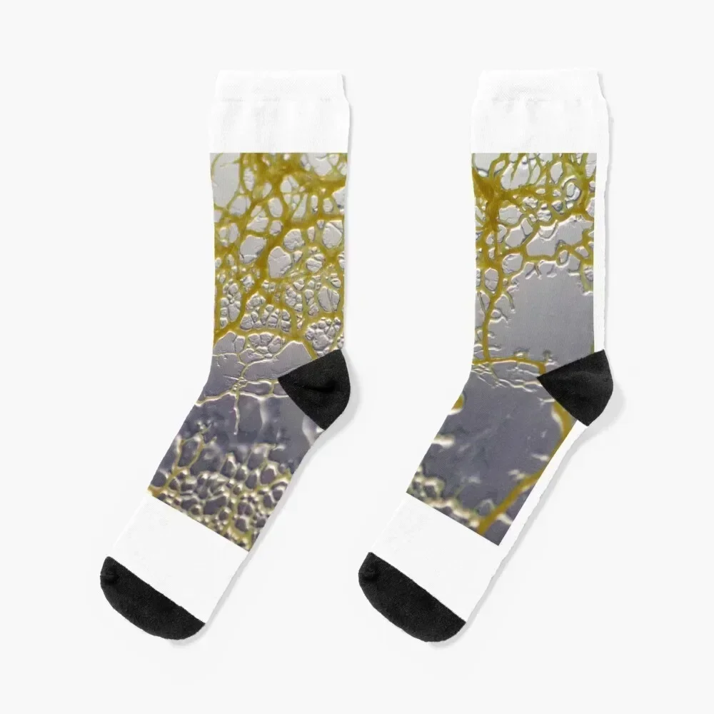 Slime Mould, Physarum polycephalum. Weird Biology, Life Science. Socks christmas gifts hockey Male Socks Women's