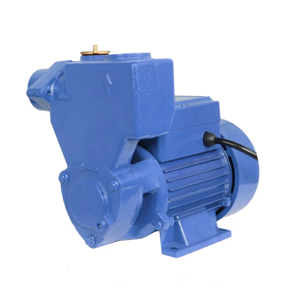 

DONGMU DM-QKSm High Quality Electric Peripheral Pump 1 Hp Self Priming Water Booster Pump