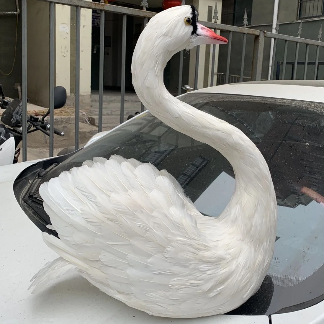 big simulation swan model foam&feather beautiful white swan gift about 50cm xf2699