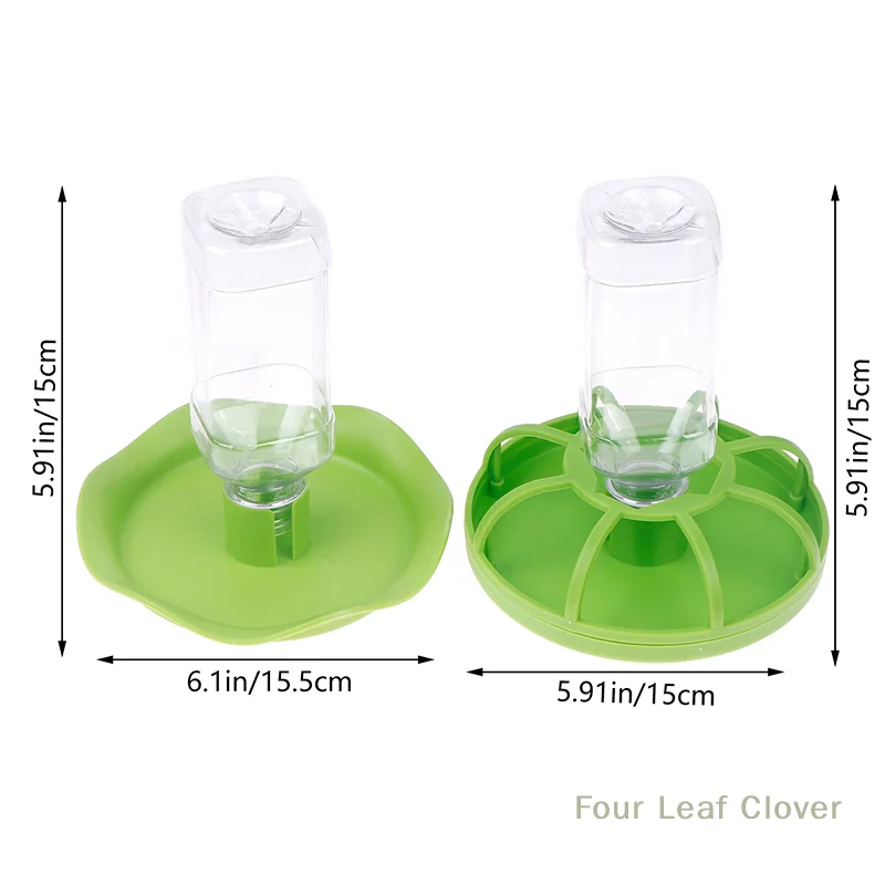 Round Reptile Water Food Bowl 6