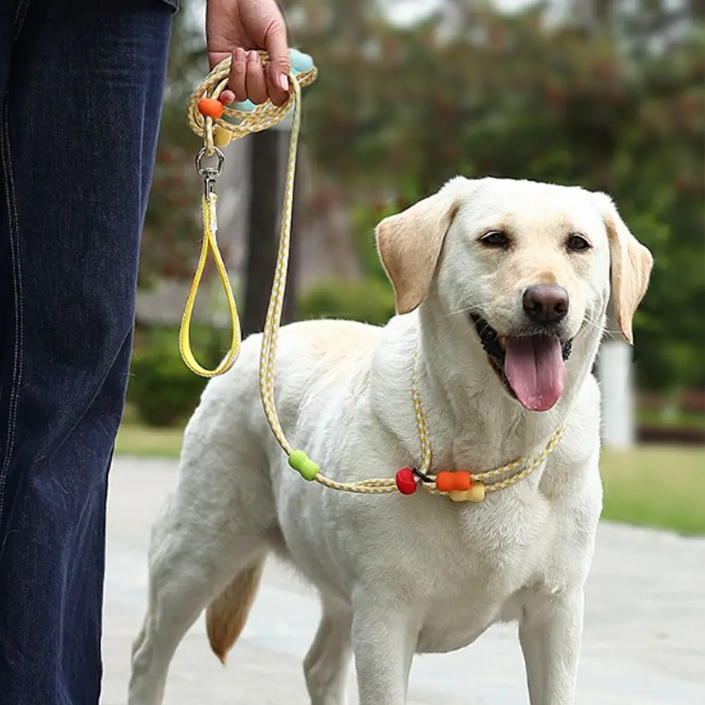 

Adjustable Dog Harness and Leash Reflective Nylon Dog Collar Leash Anti-Pull Comfortable P Chain Leash Outdoor Walking