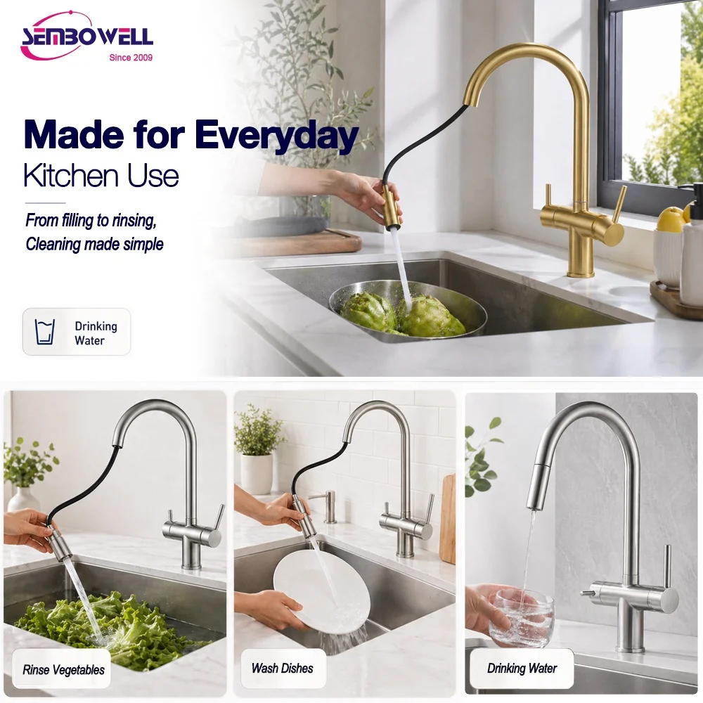 Custom WaterMark Pull Out 3 Way Sink Mixer 2 in 1 Drinking Water Tap 304 Stainless Steel Kitchen Faucet
