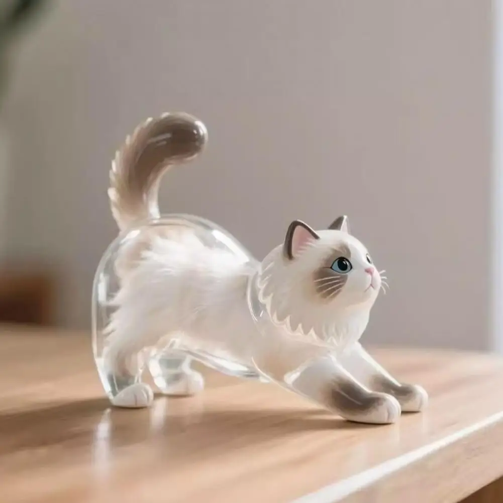 Keychain Pendant Transparent Cat Design Pet Hair Storage Box Key Chain Pet Hair Pendant Keyring Hair Storage Bottle Keychain