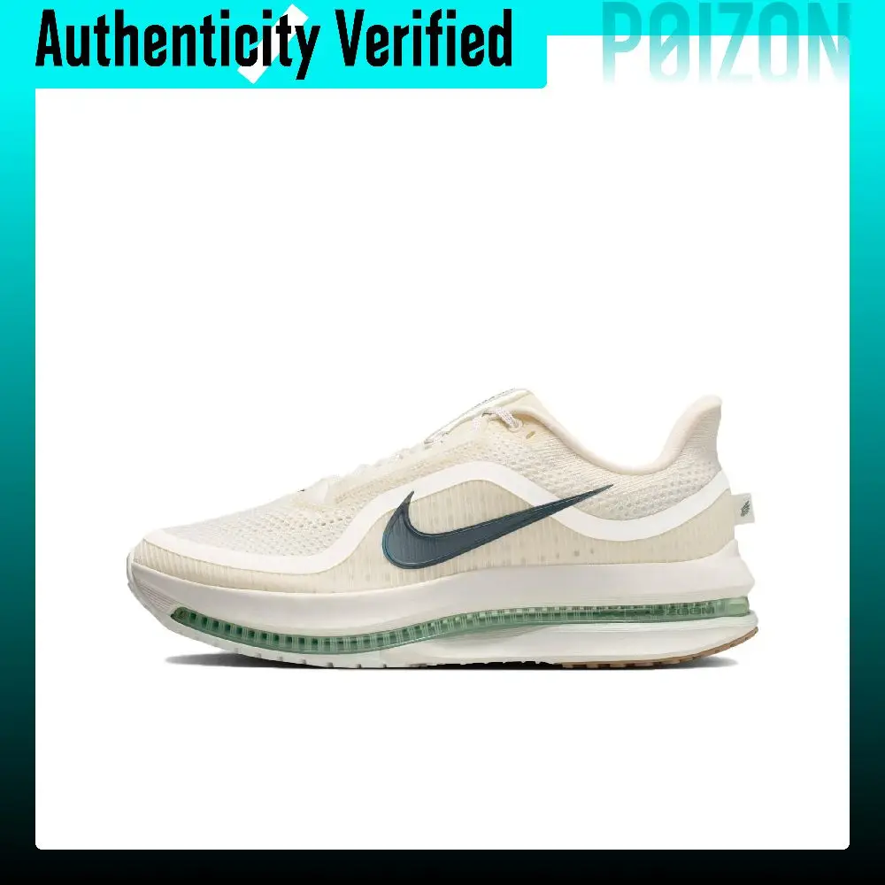 Nike Pegasus Premium Abrasion Resistant Breathable Balance Low top Running Shoes Men's White HQ2592-106