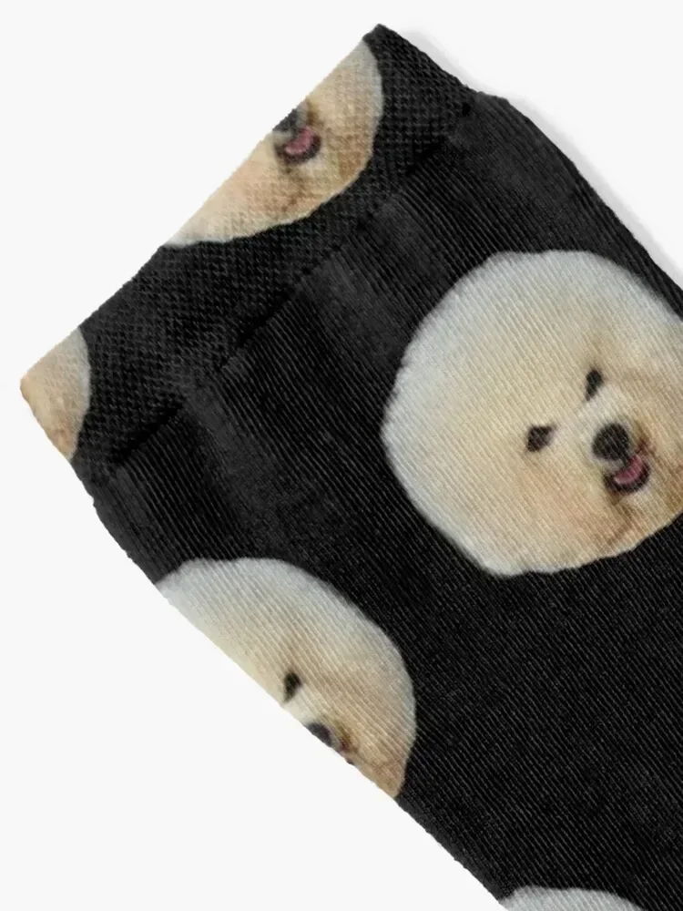 Calcetines para perros Bichon Frise muy hermosos, medias antideslizantes sueltas en movimiento, calcetines para mujer y hombre