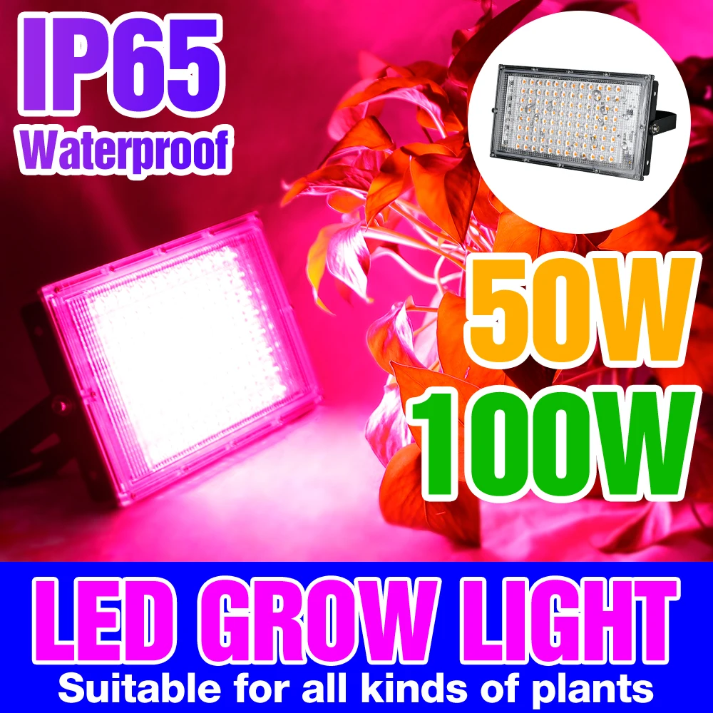 Full Spectrum LED Grow Light 220V Plant Floodlight IP65 Waterproof Hydroponics Plants Phyto Lamp 50W 100W Fitolamp With EU Plug