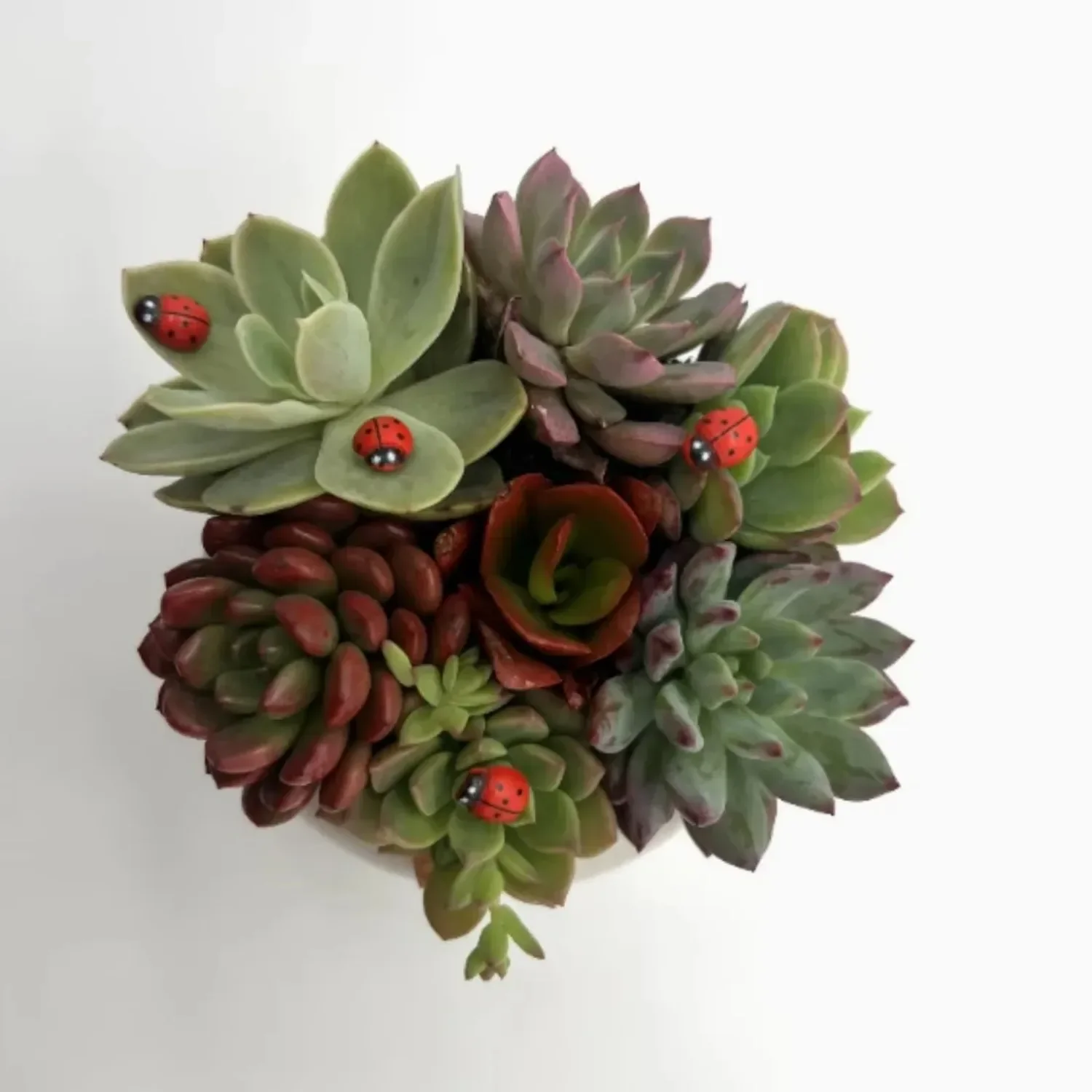 

80Pcs Mini Red Ladybug Self-Adhesive Stickers, Reusable Decor for DIY Crafts, Cards, Party & Room Decoration