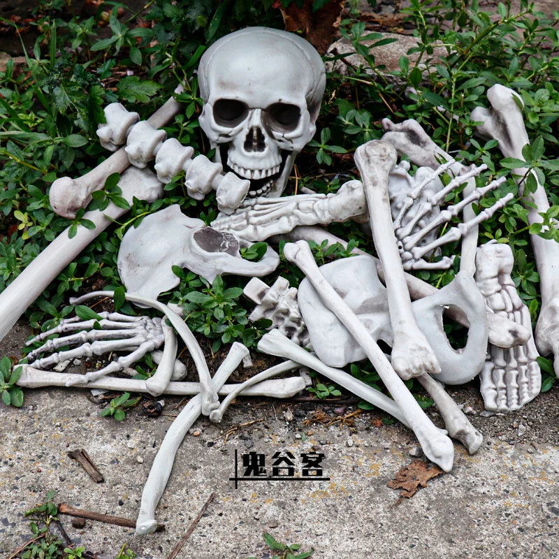 Halloween Skull Skeleton Loose Bone Dummy Horror Props Ornament