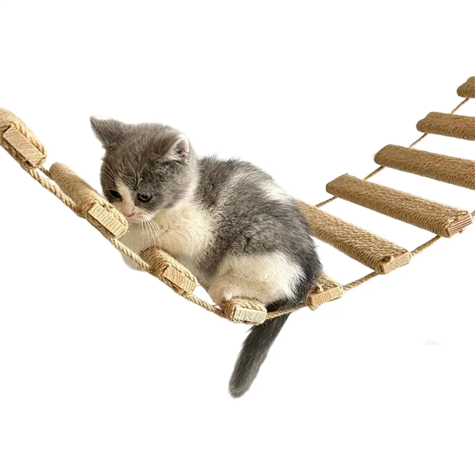 40 Inch Cat Ladder Indoor Climbing Bridge Frame Connected Cat Nest Kitten Paw Grinding Supplies Pet Trainers Animal Lovers