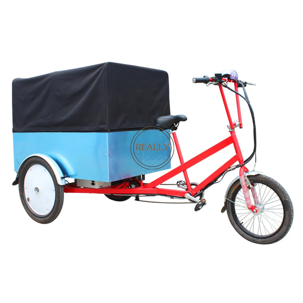 250W Electric Cargo Bike Motorized Tricycles  Rickshaw Tuktuk Motorcycle 3 Seat For Adults For Sale