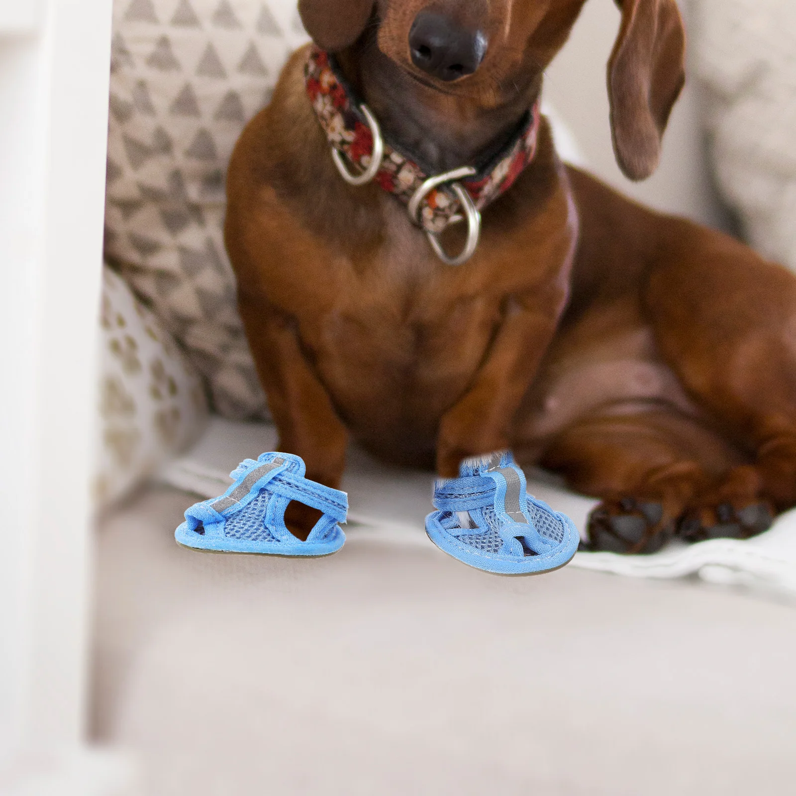 

4Pcs Dog Shoes Breathable Mesh Sandals Summer Anti-Slip Flexible Sole Blue Size 4 for Protection Dog Shoes