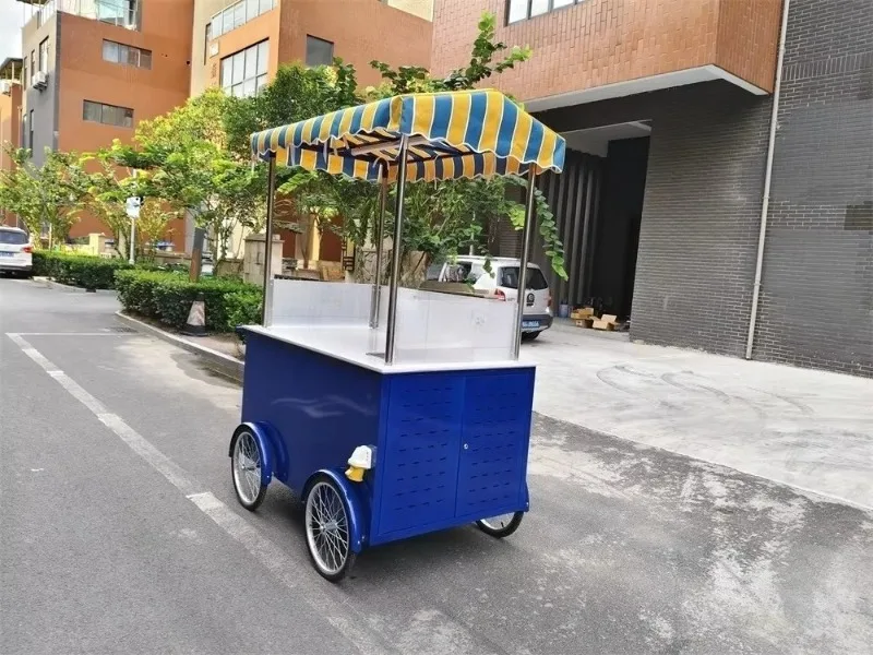 Custom Concession Mini Ice Cream Vendor Cart with Stainless Steel Colorful Awning, Designed for Amusement Parks, City Squares