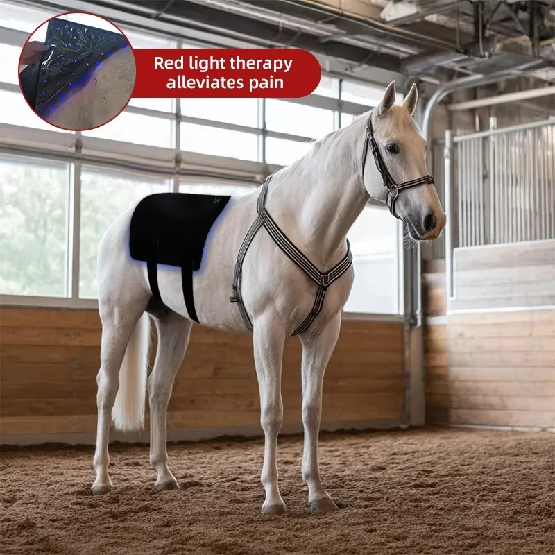 Horse Pets Red Blue Light Therapy Belt Relieve Pain 440 660 850nm Light Therapy Wrap for Animal Care and Supplies