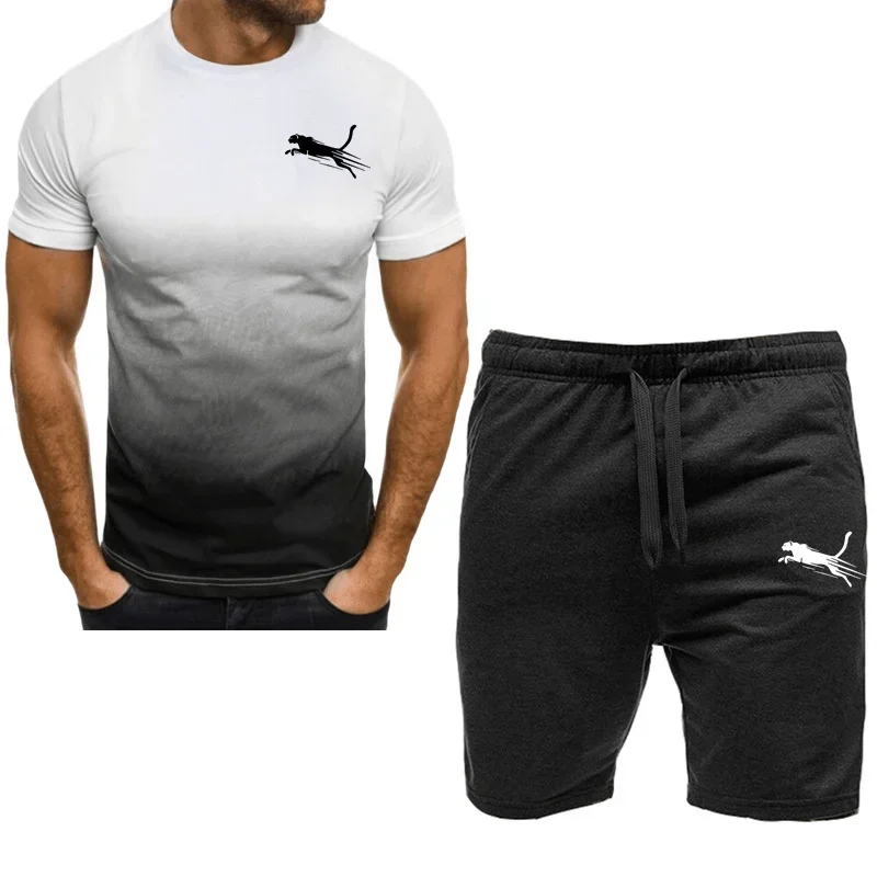 T-shirt e calções de manga curta masculina, moda desportiva, roupa fitness, secagem rápida, verão, novo, 2 peças, 2024