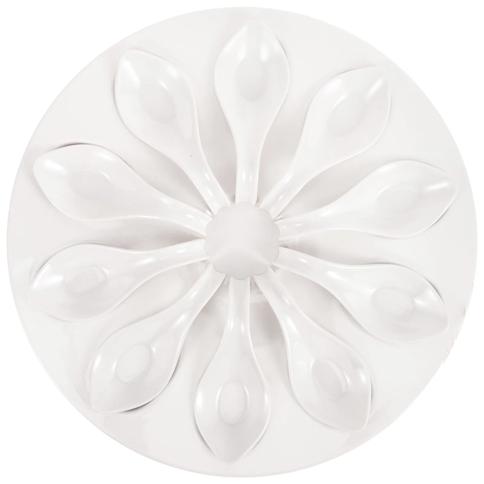 

Deviled Egg Tray Serving Platter Seafood Dish Kitchen Appetizer Plate With Spoons Elegant Design Easy Clean Party
