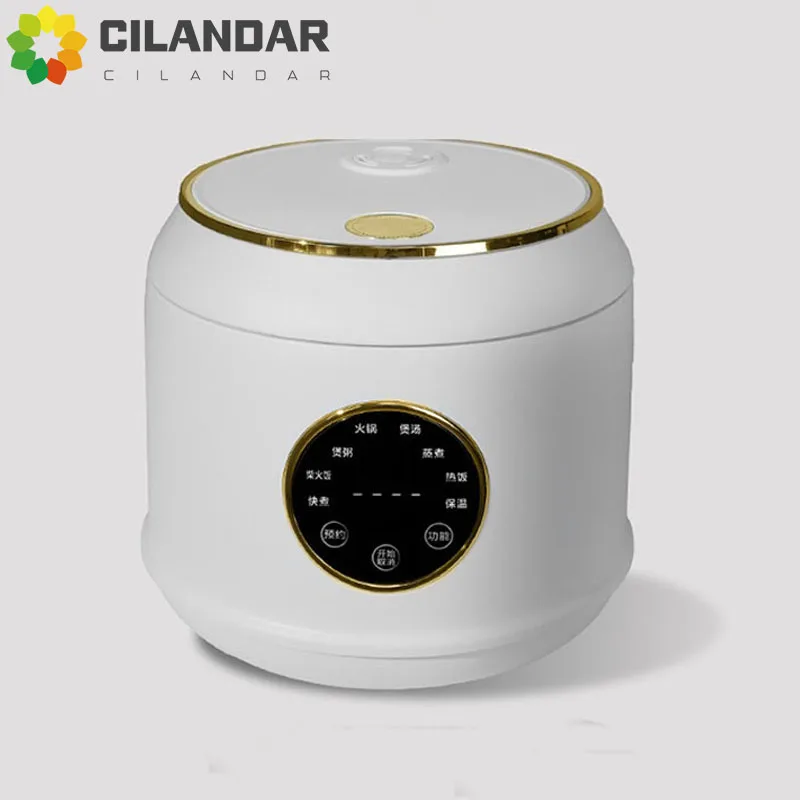 2025 جديد 110 فولت-220 فولت وعاء طبخ أرز صغير 2 إلى 3 أشخاص صغير علوي تبخير وجزء سفلي جهاز طبخ الأرز 1-2 أشخاص