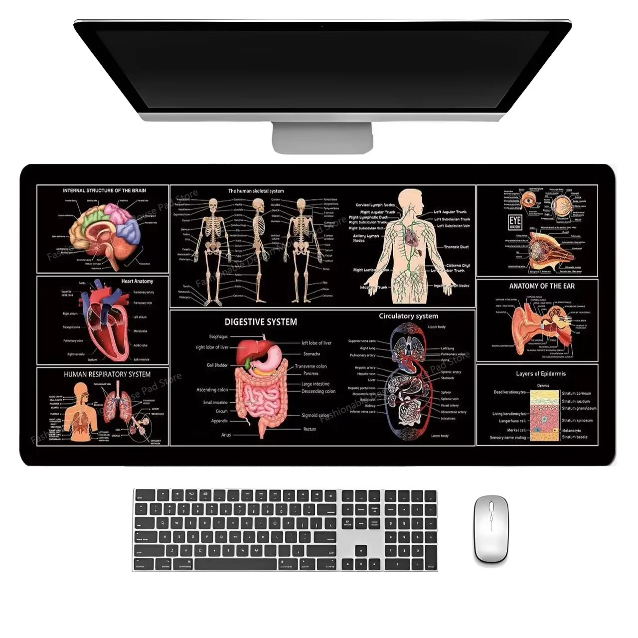 Medical Anatomy Explanation Viscera Cheat Sheet Shortcuts Keys Mouse Pad Keyboard Gaming Desk Mat Rubber Protector Office User