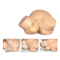 Educational Human Midwifery Training Simulator Model,Childbirth Skills Teaching Model,Delivery model