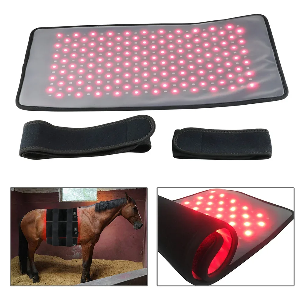 Suyzeko OEM ODM Spa Salon Heating Pad Bed Laying LEDs Infrared Light Therapy Mat 660nm 850nm Red Light Therapy Blanket Horse