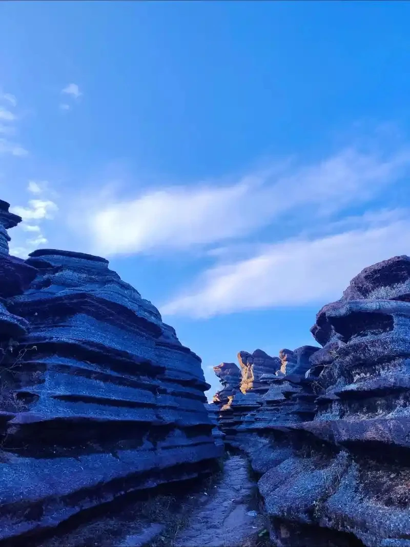 

Для Peugeot 307 2000-2014 10 шт. светодиодный внутренний светильник для чтения багажника, комплект ламп для хэтчбека, седан, сигнальная лампа, автомобильные фонари