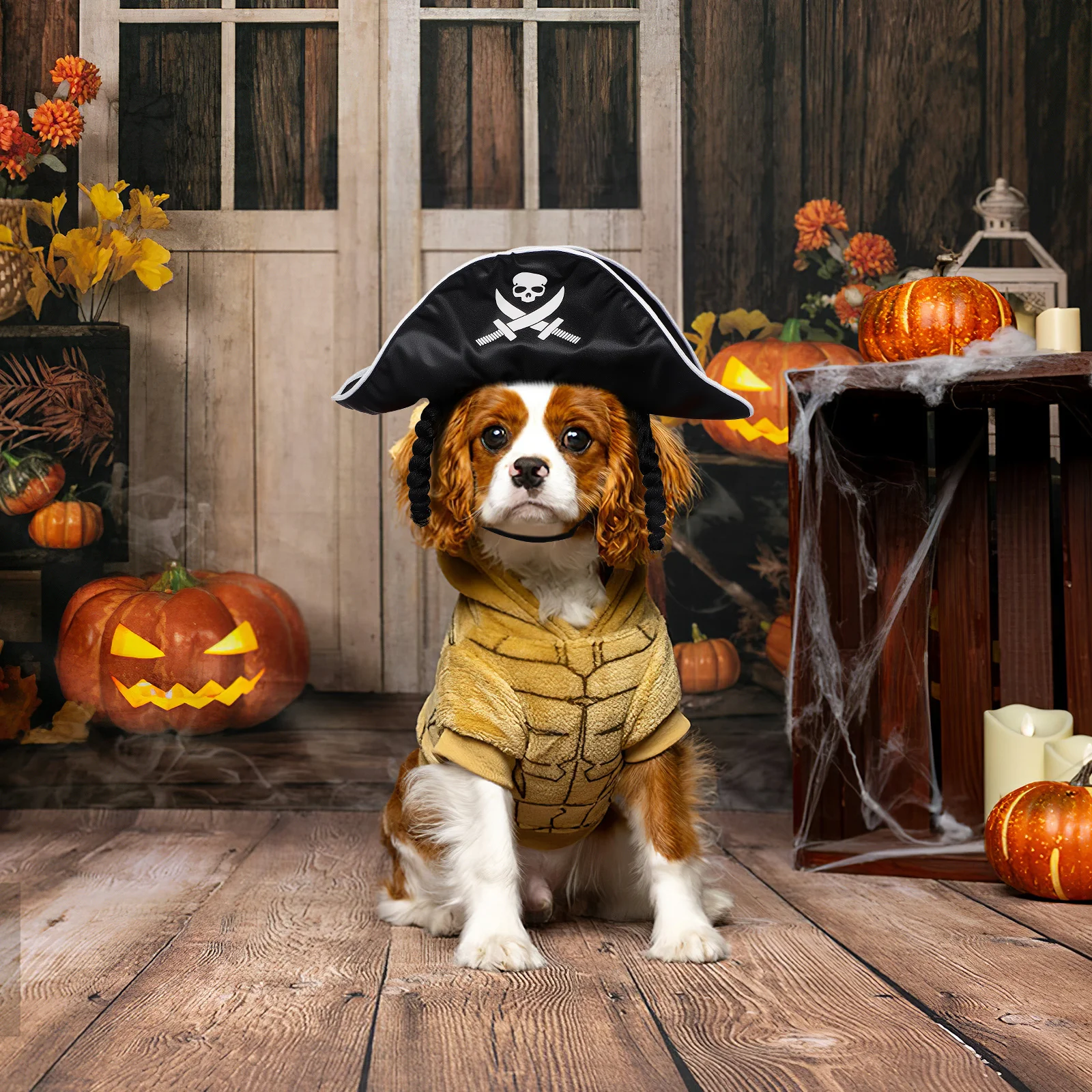 

Pet Hat Black Short Durable Halloween Costume For Dogs Party Cosplay Accessory Halloween Pirate Hat Pirate Cosplay Props