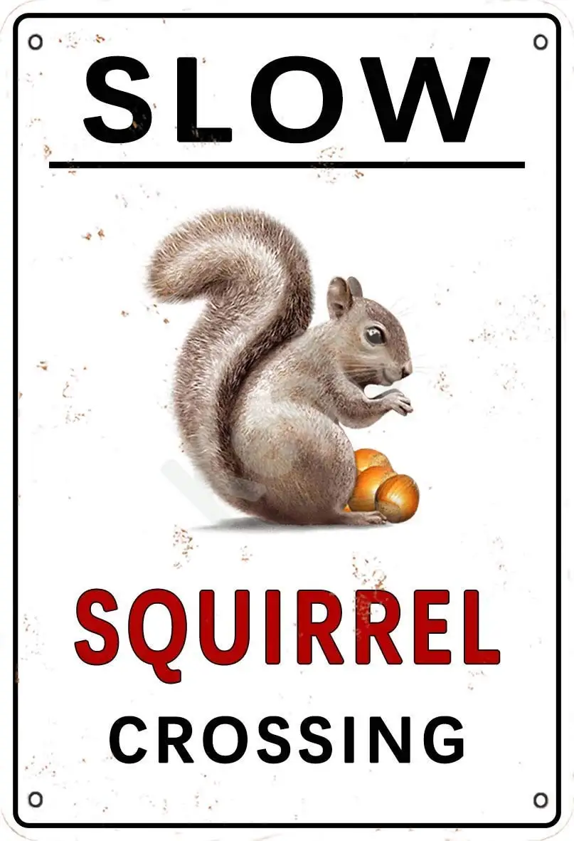 Декоративная металлическая винтажная вывеска Slow Squirrel пересечение стен для кафе, баров, ресторанов, пабов, мужская пещера, 8x12 дюймов