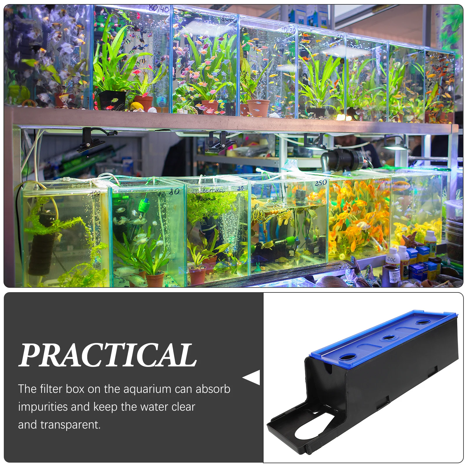 

Purification Drip Box Aquarium Filter Box Clear Design Generous Smooth Lines Safe Practical Reusable Filters for Fish Tank