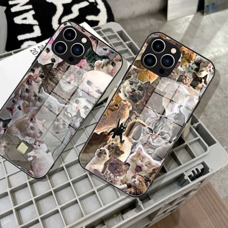 Crying Cat Memes Funny Phone Case Tempered Glass For IPhone 14 13 11 12 Pro 8 7 Plus X 13 Pro MAX XR XS MINI SE 2020 Covers