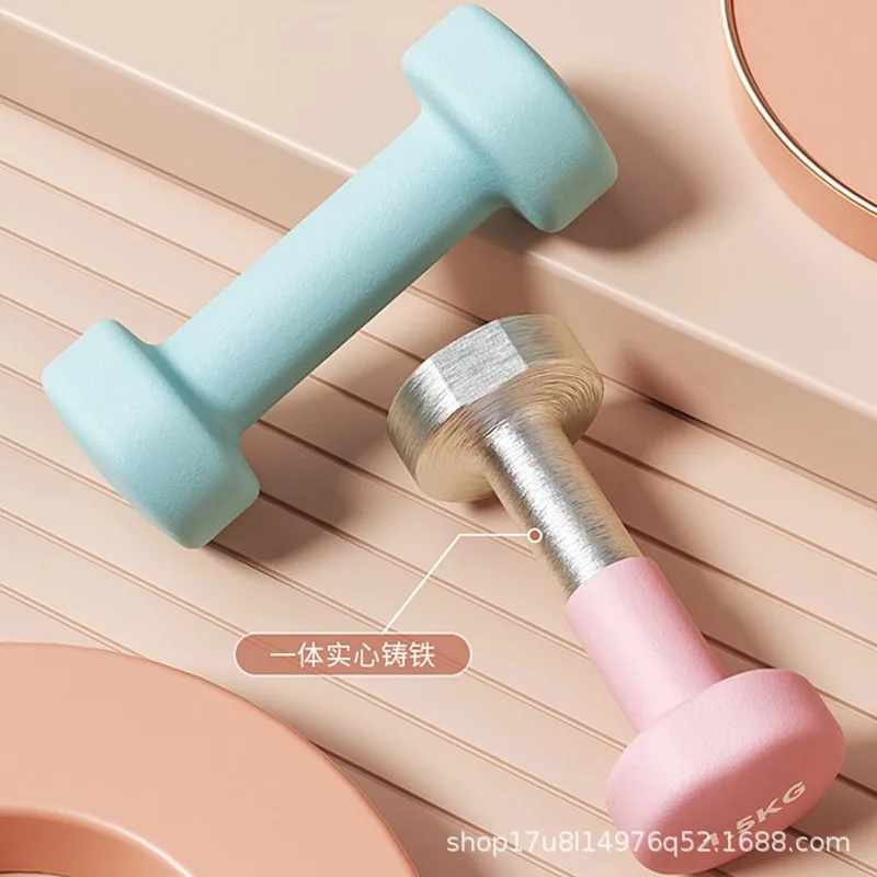 

Wholesale Fitness Equipment Small Cast Iron Dipping Dumbbell 2 kg for Home Use Solid cast iron dumbbell