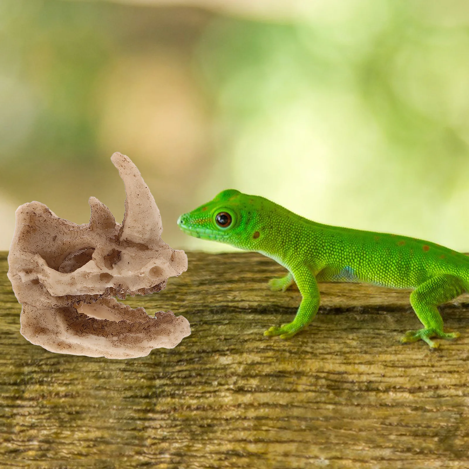 

Resin Rhino Skull Reptile Hideout Creative Shelter for Lizards Snakes Small Pets Turtle Tank Frog Terrarium Decor