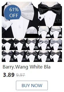 Barry.Wang Jacquard Seide Herren Schal Blumen Paisley stilvolle Burgunder Gold grün rot blau lila für männliche Hochzeit Business Party – Detail 39