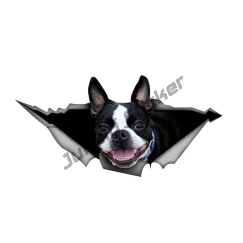 

Personality Car Sticker Accessories Boston Terrier Animal Auto Decorative Decal Car Window Waterproof