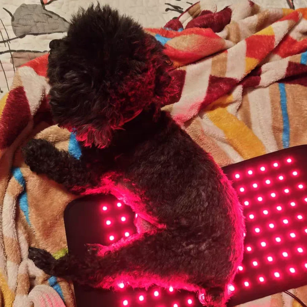 

Veterinary Red Light Therapy Mat for Dogs and Cats, 660nm 850nm Infrared with Heating Pad for Joint Pain and Skin