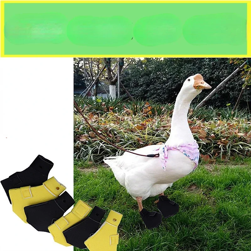 2pcs Waterproof Lightweight Pet Duck Shoes Casual Walking Booties Footwear For Small Ducks Gooses Outdoor Duck Booties