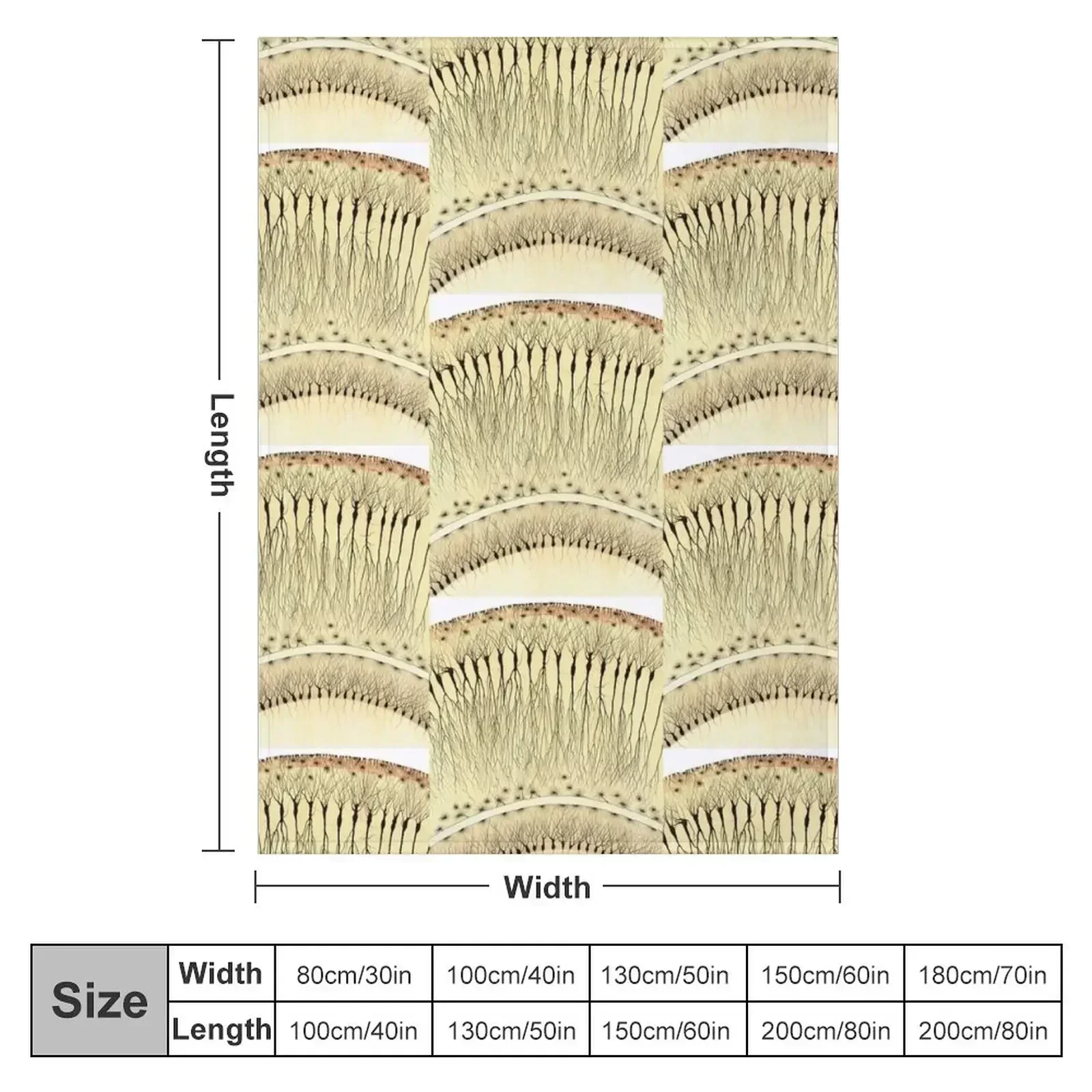 Drawing of Hippocampus by Cajal Throw Blanket Warm Softest for winter Loose Retros sofa bed Blankets