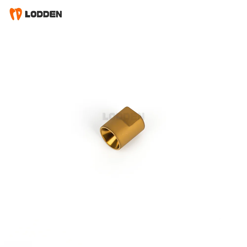 

5PCS Lodden Dental Multi Scan Body with Library for Megagen Neo Straumann Nobel Osstem Dentium Bridge Screw Accessoire