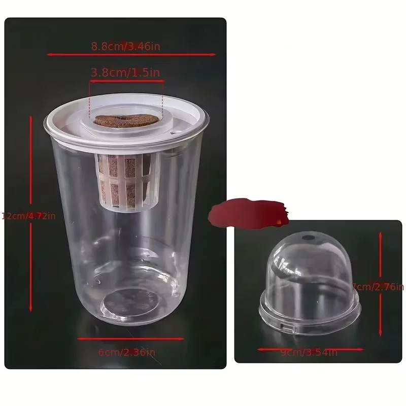 وعاء البذور المائية البلاستيك الشفاف أسطواني-كوب مائي عالي الشفافية لمراقبة نمو الجذر