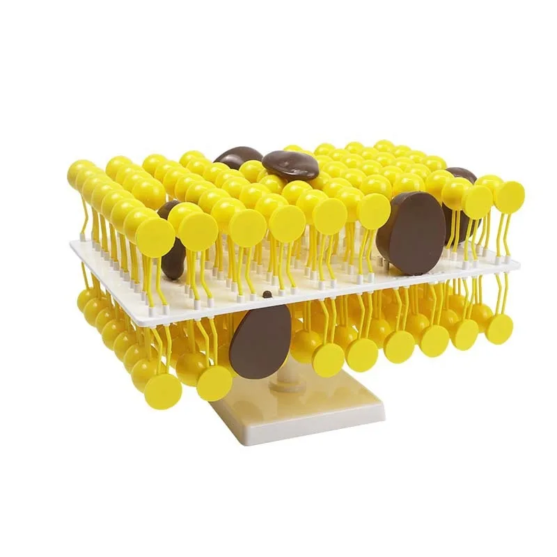 Cell membrane flow mosaic model component junior high school biology teaching demonstration experiment device