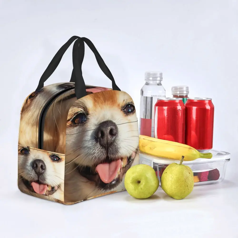 Bolsa de almuerzo con aislamiento alemán Spitz Puppy para mujer, bonita lonchera térmica con lengua de perro Pomerania, ideal para acampar en la playa y viajar