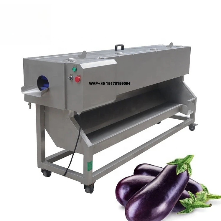 

Fully Automatic Large Scale Eggplant Cassava Peeling Machine Lotus Root Peeler