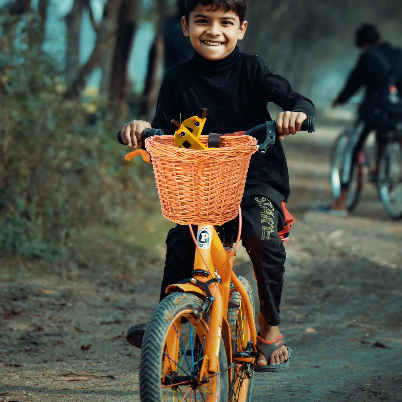 

Small Size Natural Willow Woven Front Handlebar Basket For Detachable Bike Storage Container Heavy Duty Bicycle