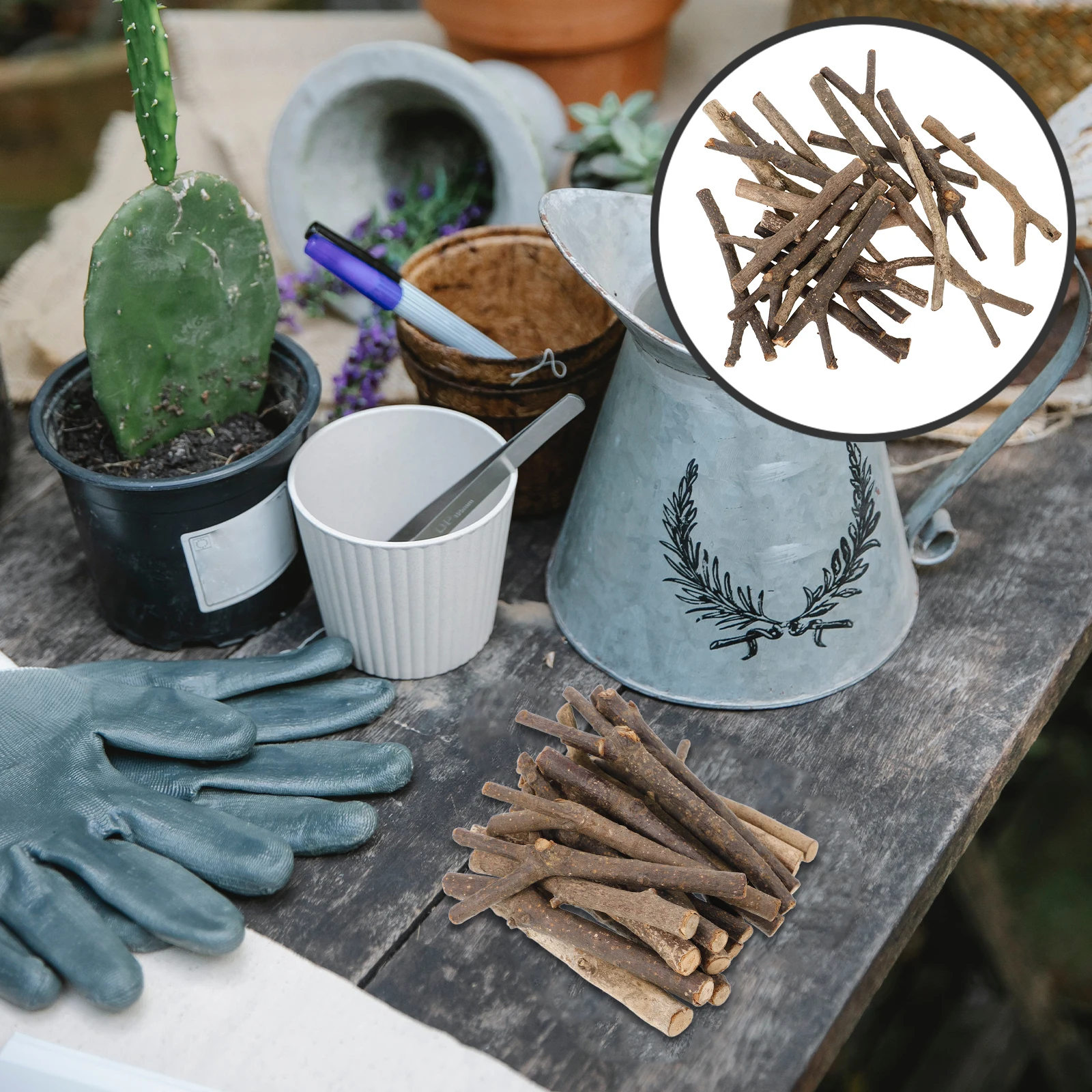 

20 Pcs Other Wood Products Chips Branch Material Hardwood Sticks Twigs Branches for Decoration