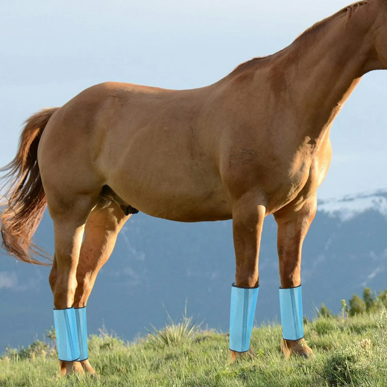 

4Pcs Professional Horse Leg Mesh Boots Breathable Fly Boots Durable Net Covers Long-Lasting Support Bars Multi-Function