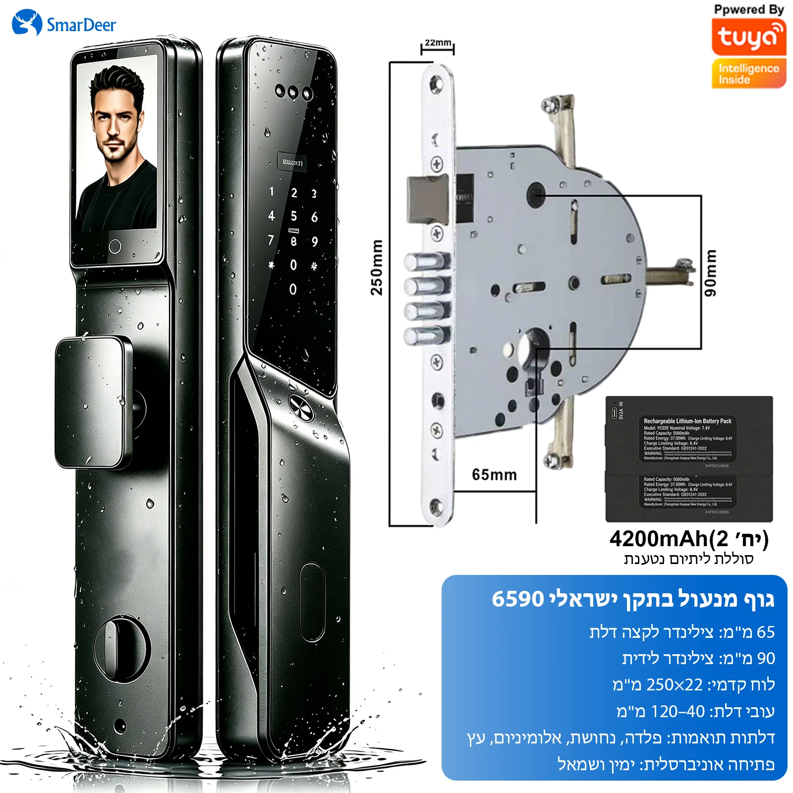 SmarDeer 6590 Israëlische standaard insteekslot, Tuya WiFi 3D Face Palm Vein Lock, IP66 waterdicht, Hebreeuwse ondersteuning