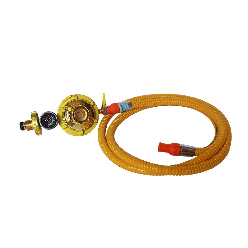 Metal gas pipe Natural gas water heater Gas stove metal hose low pressure