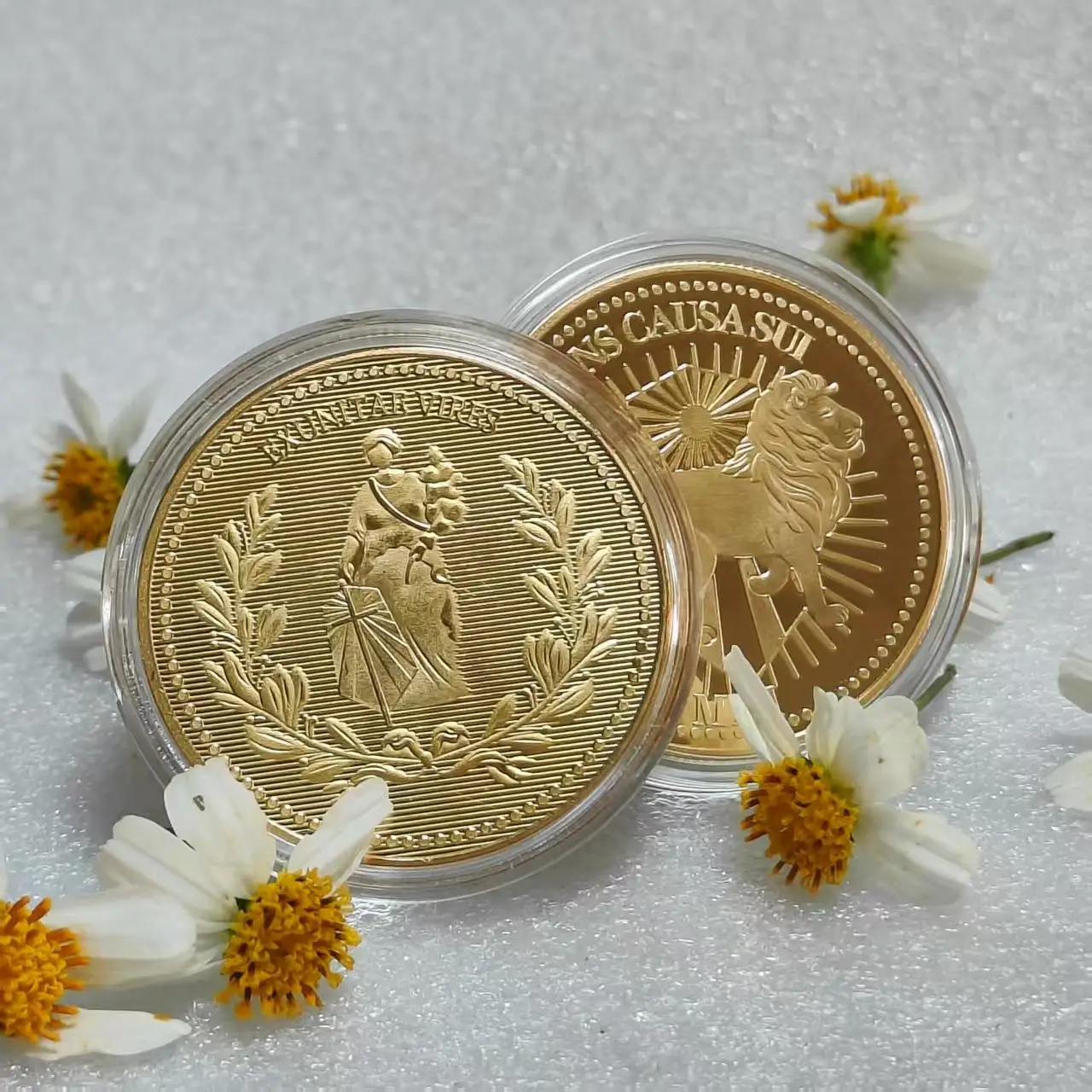 

1 шт. Памятные монеты «Лев и Свобода» — металлические значки, коллекционные реплики, идеальный памятный подарок для друзей