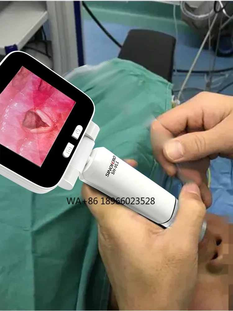 

Portable Handheld Clear Vision Convenient Operation Veterinary Disposable Video Laryngoscope for Animal or Human Use