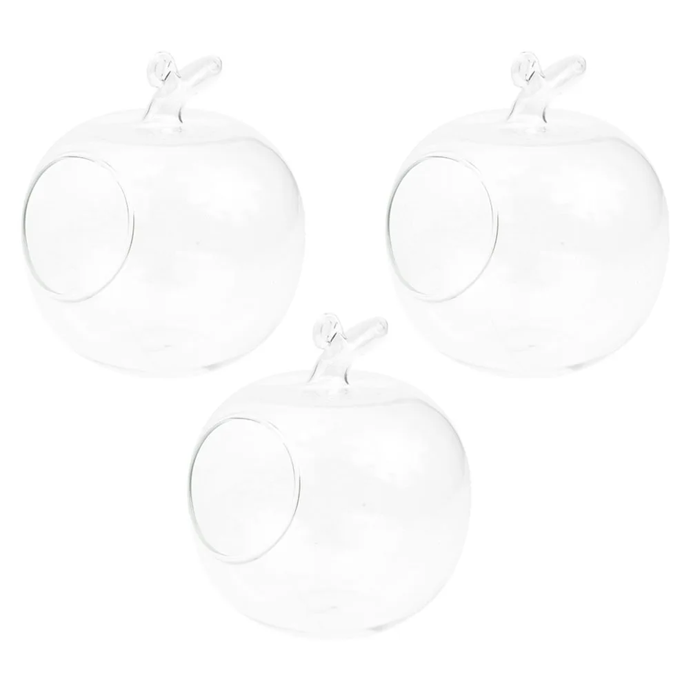 

3Pcs Clear Apple Shaped Glass Hydroponic Bottle Transparent Tabletop Planter Holder Micro Landscape Vase Home Decoration